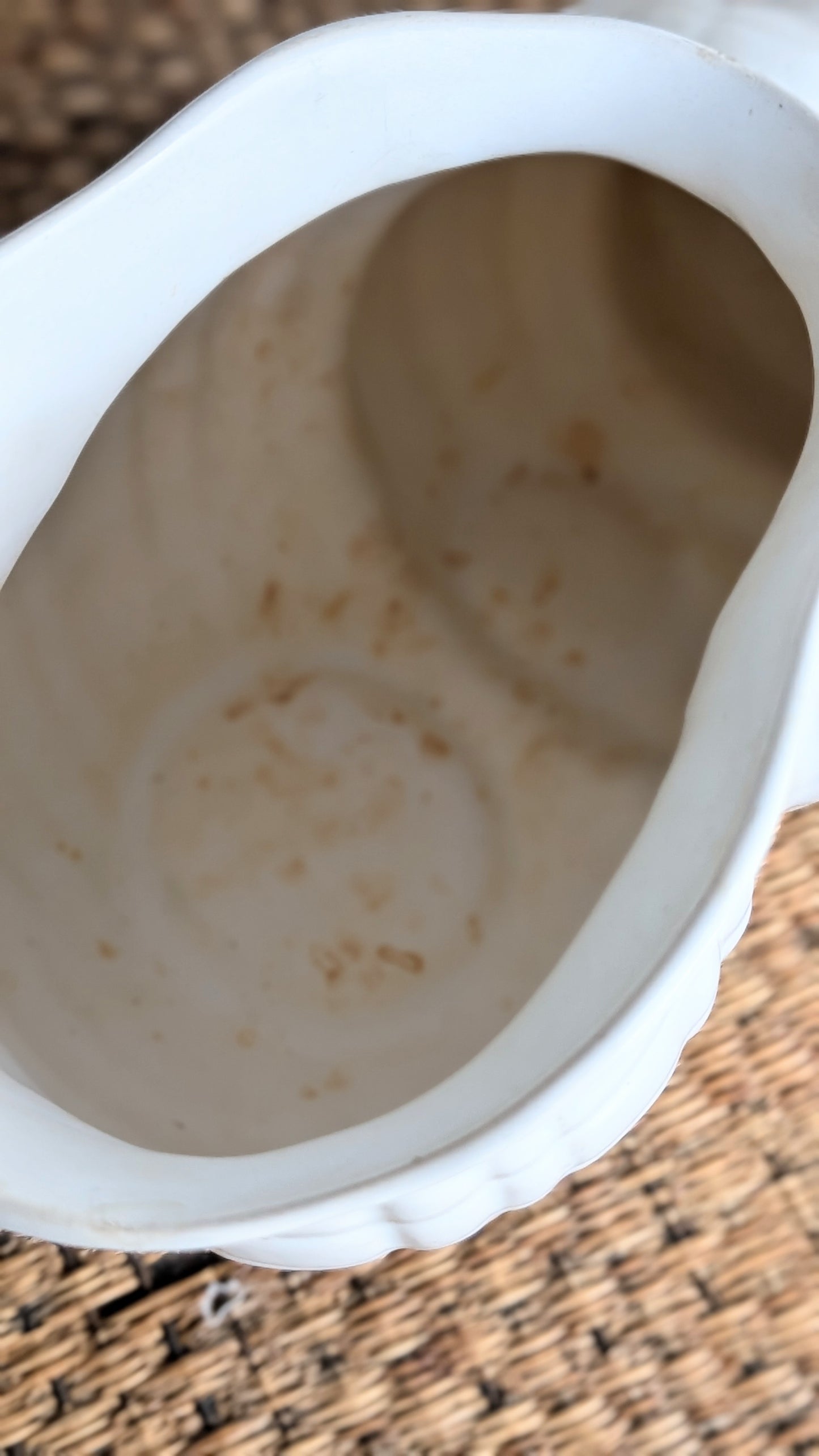 Vintage English Shell Planter Vase