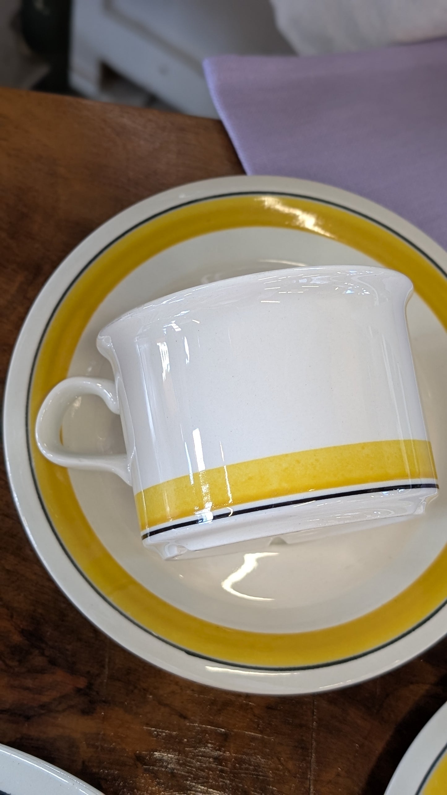 Arabica Faenza Mid Century Dinner Service