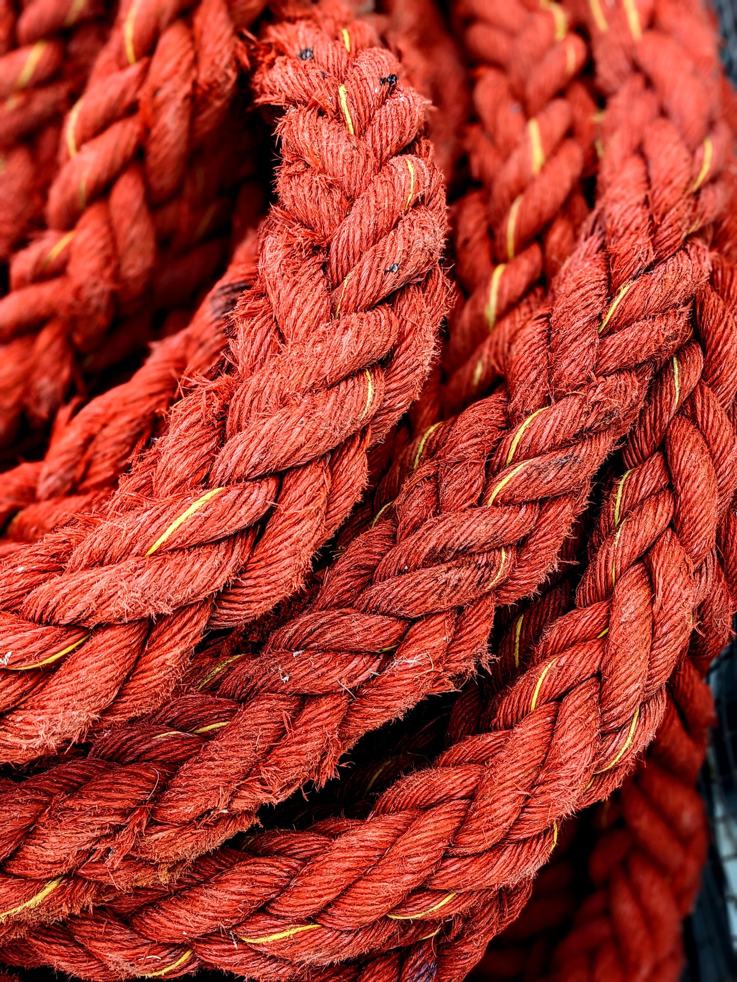 Rope - Burnt Orange