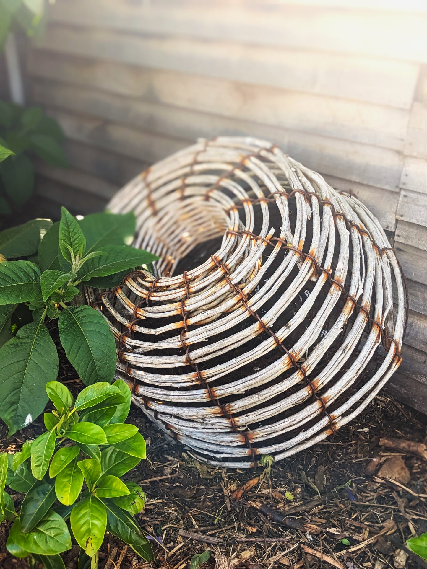 Cray Pots
