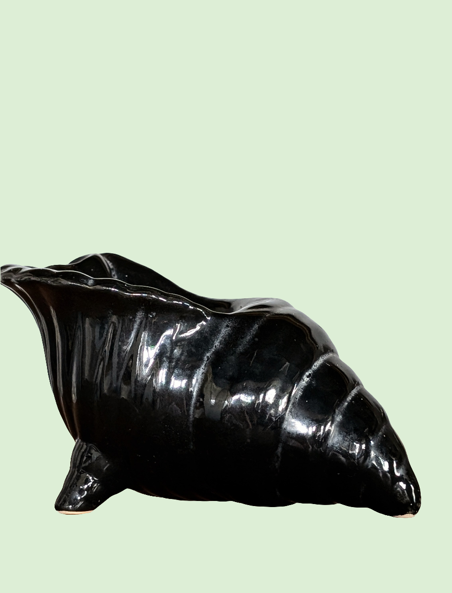 Vintage Black Shell Ceramic Planter Vase