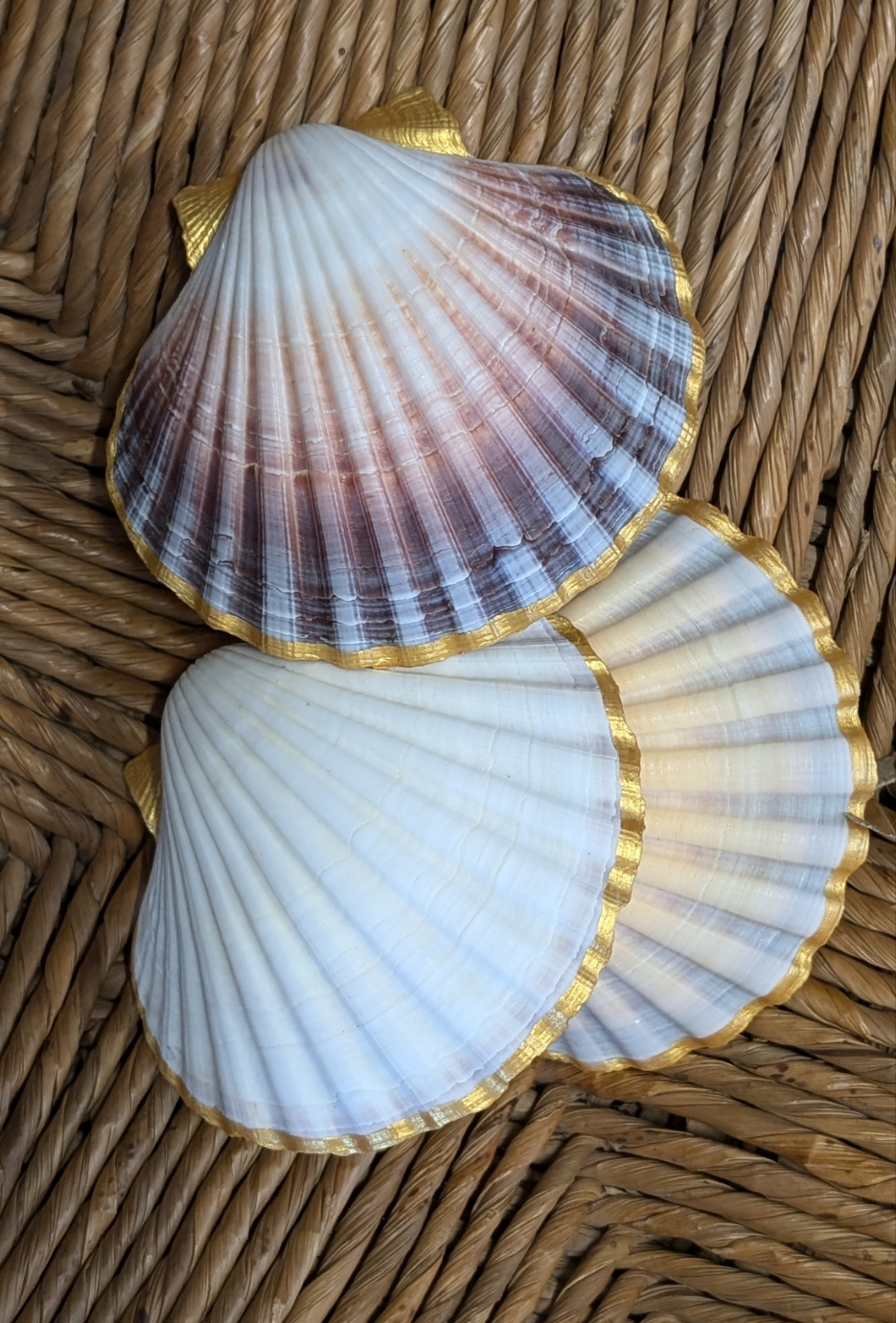 Hand Painted Scallop Shell Dish