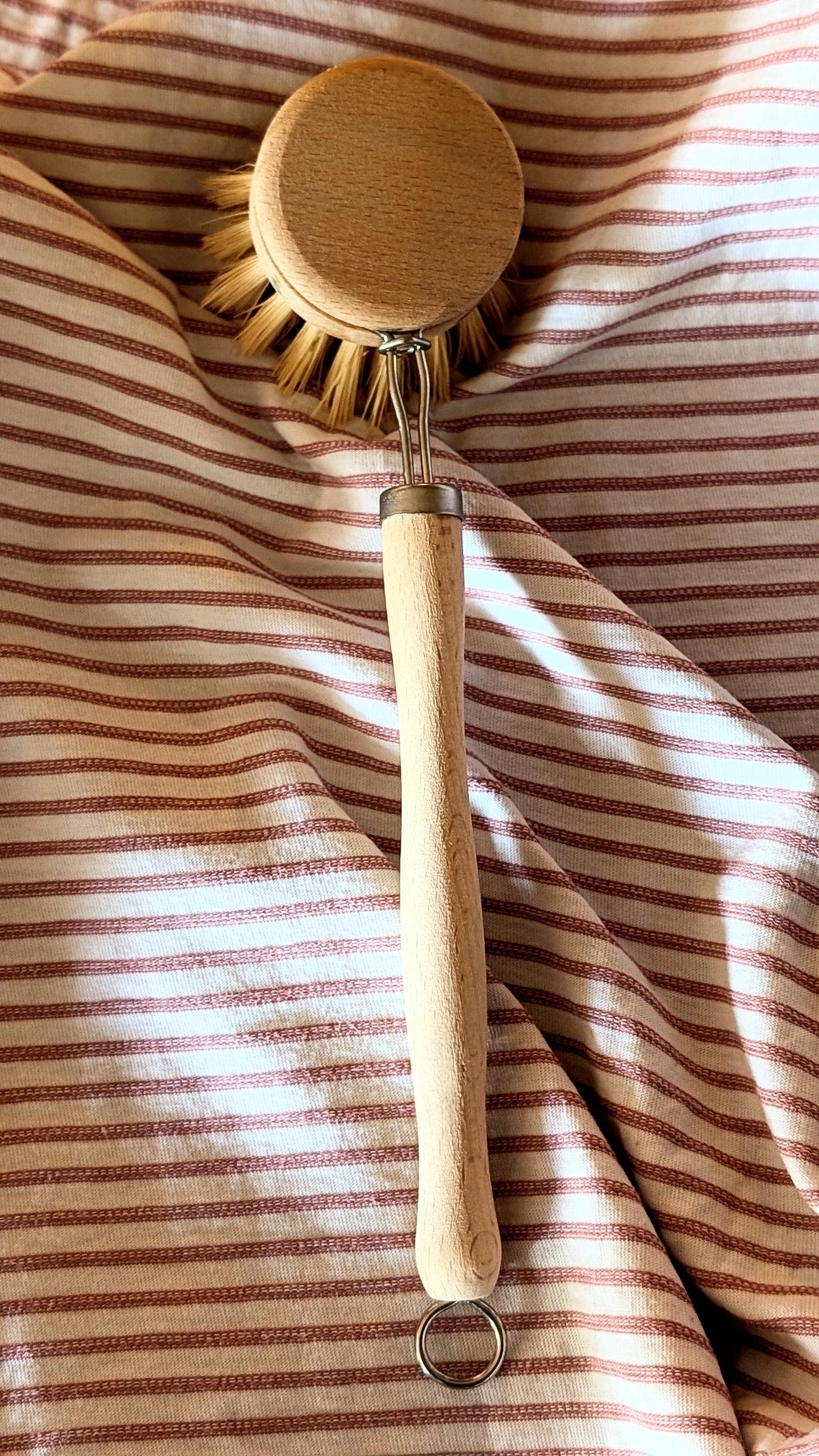 Natural wooden dish brush
