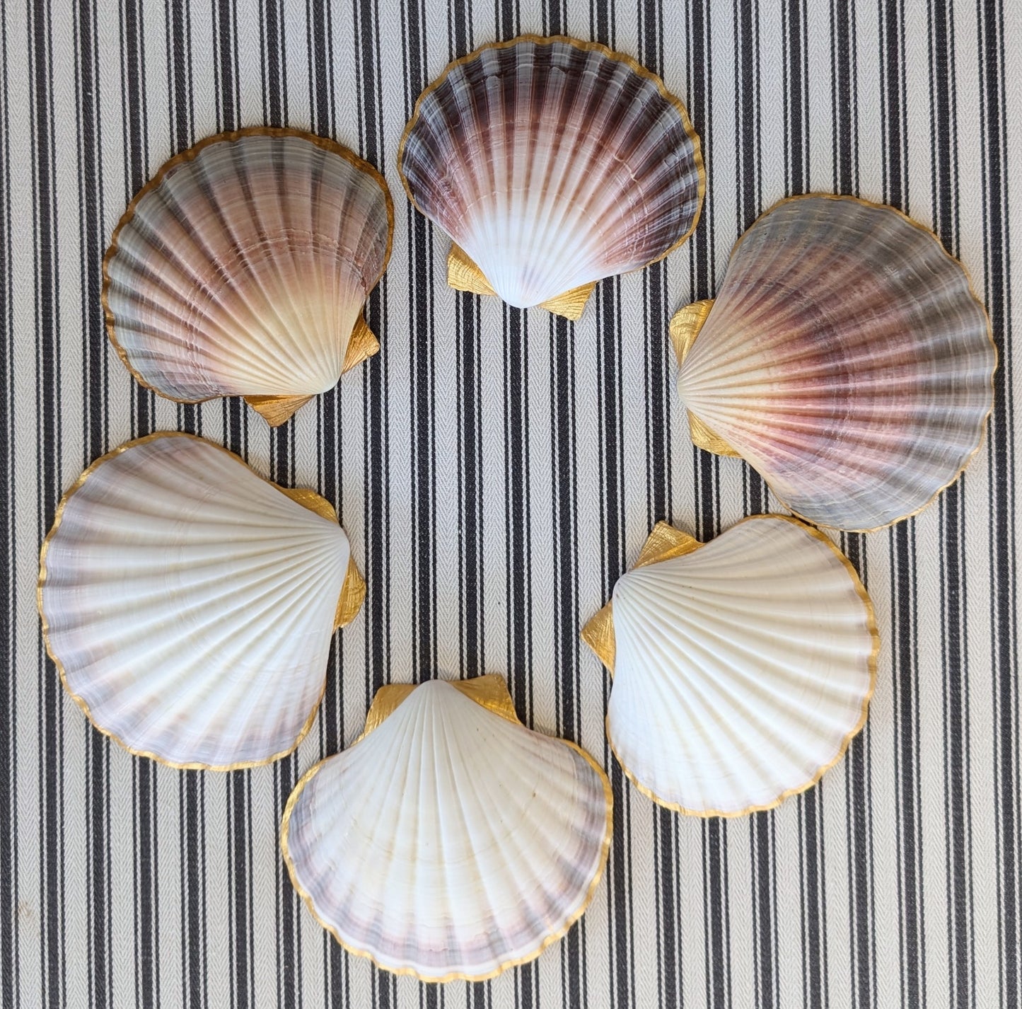 Hand Painted Scallop Shell Dish