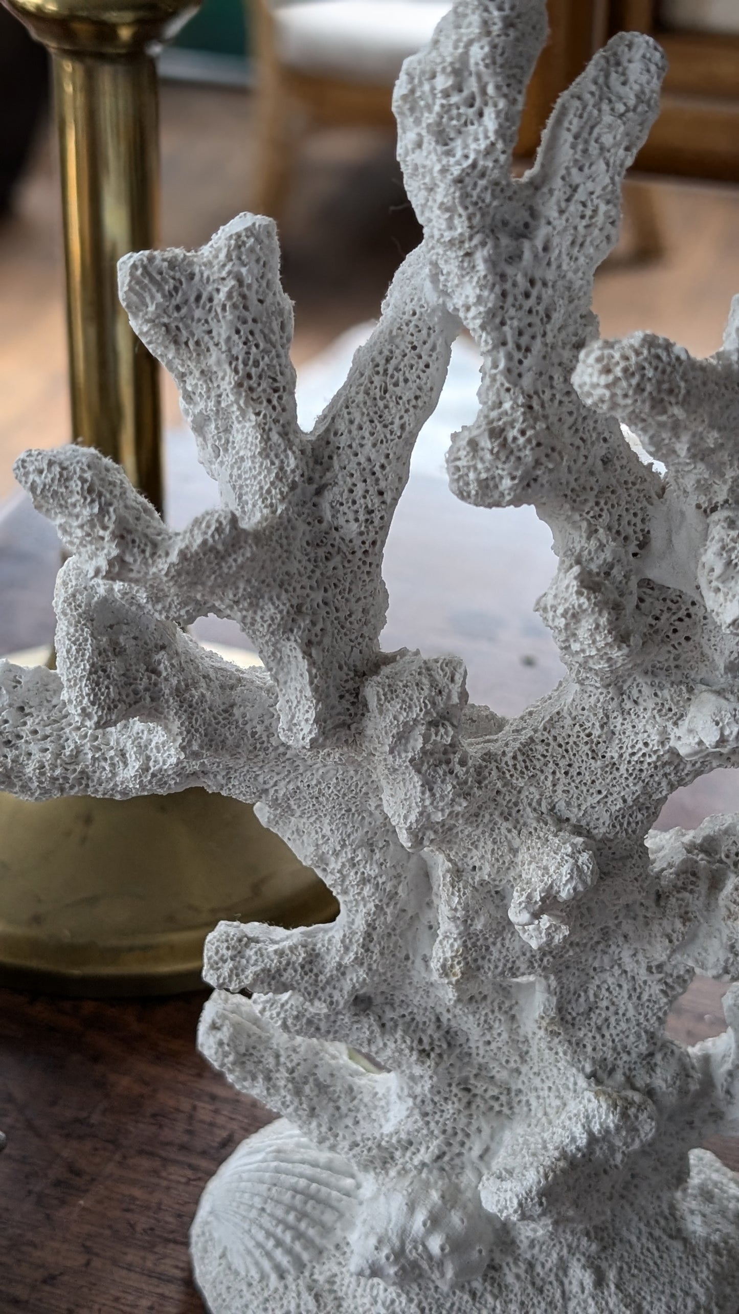 Decorative Faux Coral